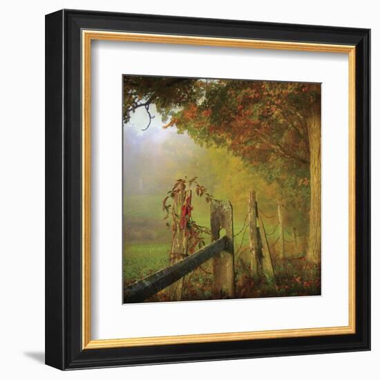 Farm Fence-Dawne Polis-Framed Art Print