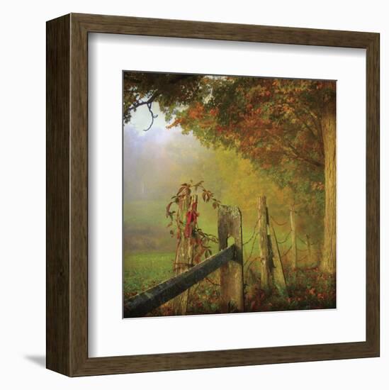 Farm Fence-Dawne Polis-Framed Art Print