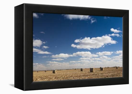 Farm Field, Sioux Falls, South Dakota, USA-Walter Bibikow-Framed Premier Image Canvas