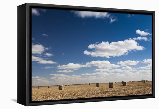 Farm Field, Sioux Falls, South Dakota, USA-Walter Bibikow-Framed Premier Image Canvas