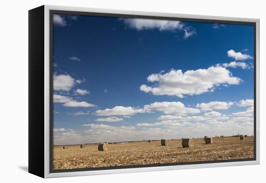 Farm Field, Sioux Falls, South Dakota, USA-Walter Bibikow-Framed Premier Image Canvas