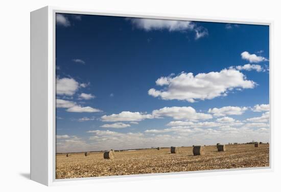 Farm Field, Sioux Falls, South Dakota, USA-Walter Bibikow-Framed Premier Image Canvas