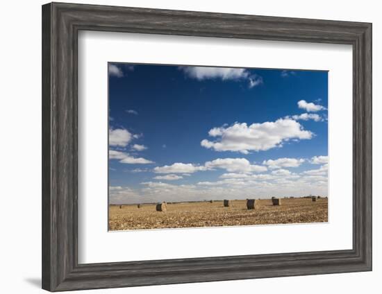 Farm Field, Sioux Falls, South Dakota, USA-Walter Bibikow-Framed Photographic Print