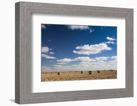 Farm Field, Sioux Falls, South Dakota, USA-Walter Bibikow-Framed Photographic Print