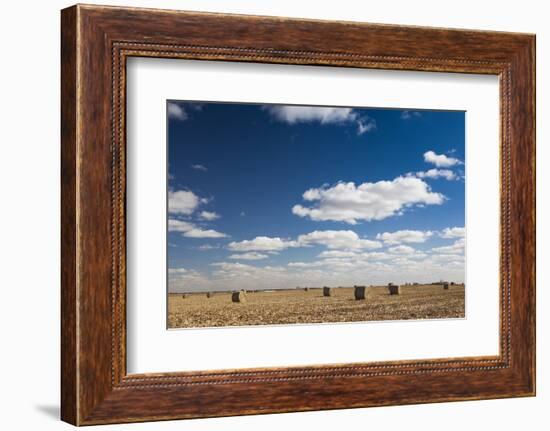 Farm Field, Sioux Falls, South Dakota, USA-Walter Bibikow-Framed Photographic Print