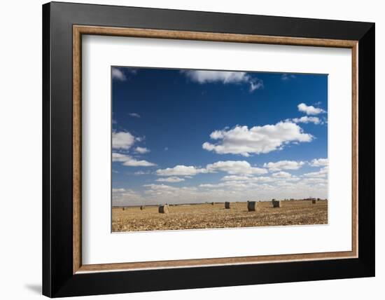 Farm Field, Sioux Falls, South Dakota, USA-Walter Bibikow-Framed Photographic Print