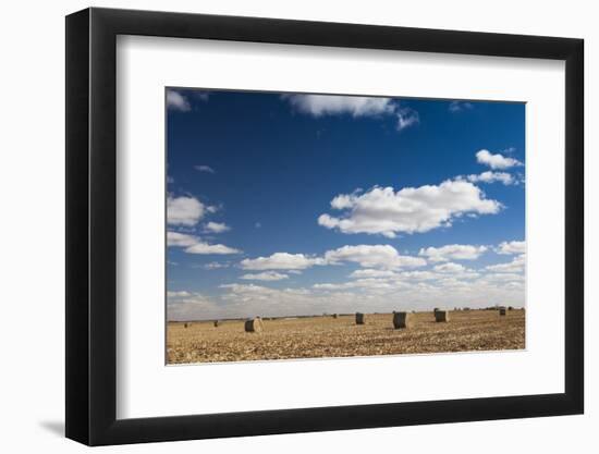 Farm Field, Sioux Falls, South Dakota, USA-Walter Bibikow-Framed Photographic Print