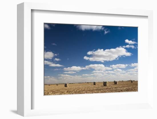 Farm Field, Sioux Falls, South Dakota, USA-Walter Bibikow-Framed Photographic Print