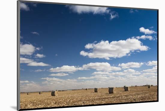 Farm Field, Sioux Falls, South Dakota, USA-Walter Bibikow-Mounted Photographic Print