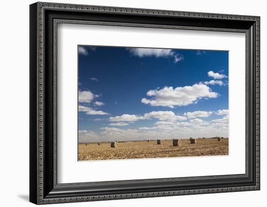 Farm Field, Sioux Falls, South Dakota, USA-Walter Bibikow-Framed Photographic Print
