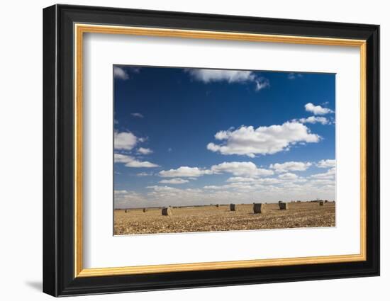 Farm Field, Sioux Falls, South Dakota, USA-Walter Bibikow-Framed Photographic Print