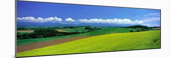 Farm Fields Biei Hokkaido Japan-null-Mounted Photographic Print