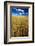 Farm Fields of Golden Harvest Wheat, Palouse Country, Washington, USA-Terry Eggers-Framed Photographic Print