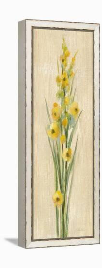 Farm Flower III-Silvia Vassileva-Framed Stretched Canvas