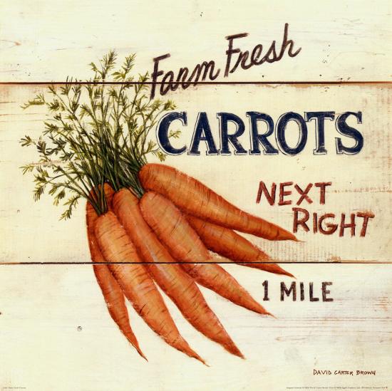 Farm Fresh Carrots-David Carter Brown-Framed Print Mount