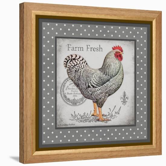 Farm Fresh Eggs I-Gwendolyn Babbitt-Framed Stretched Canvas