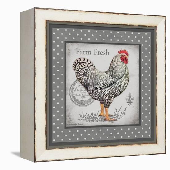 Farm Fresh Eggs I-Gwendolyn Babbitt-Framed Stretched Canvas