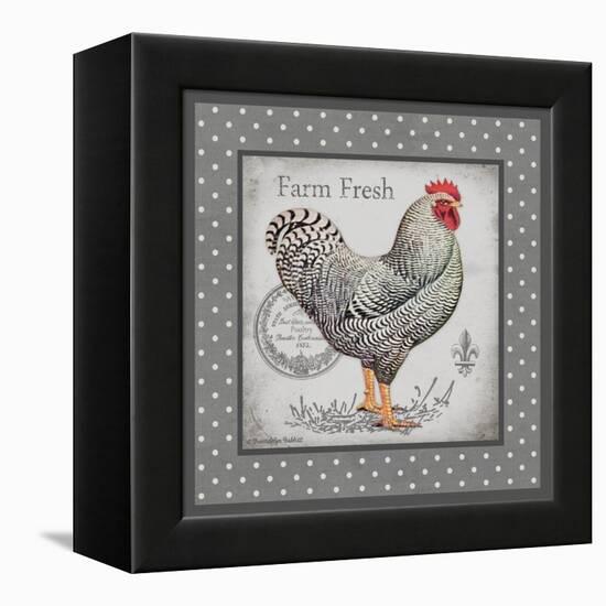 Farm Fresh Eggs I-Gwendolyn Babbitt-Framed Stretched Canvas