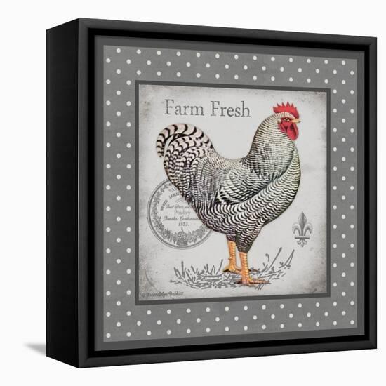 Farm Fresh Eggs I-Gwendolyn Babbitt-Framed Stretched Canvas