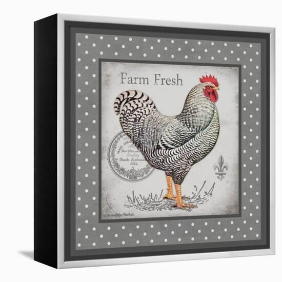 Farm Fresh Eggs I-Gwendolyn Babbitt-Framed Stretched Canvas