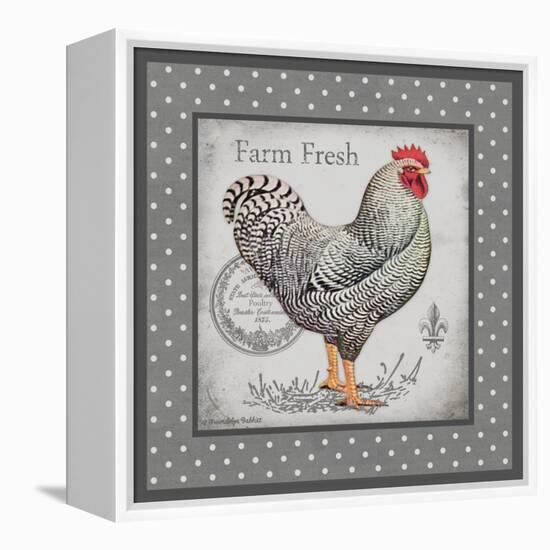 Farm Fresh Eggs I-Gwendolyn Babbitt-Framed Stretched Canvas