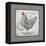 Farm Fresh Eggs II-Gwendolyn Babbitt-Framed Stretched Canvas