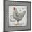 Farm Fresh Eggs II-Gwendolyn Babbitt-Mounted Art Print