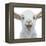 Farm Friends I-Myles Sullivan-Framed Stretched Canvas