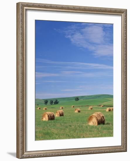 Farm Hay Bales and Clouds, Eastern Washington, USA-Adam Jones-Framed Photographic Print