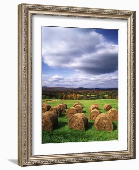 Farm Hay Bales in Field, Westmore, Vermont, USA-Adam Jones-Framed Photographic Print