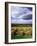 Farm Hay Bales in Field, Westmore, Vermont, USA-Adam Jones-Framed Photographic Print