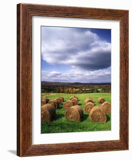 Farm Hay Bales in Field, Westmore, Vermont, USA-Adam Jones-Framed Photographic Print