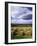 Farm Hay Bales in Field, Westmore, Vermont, USA-Adam Jones-Framed Photographic Print