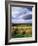 Farm Hay Bales in Field, Westmore, Vermont, USA-Adam Jones-Framed Photographic Print