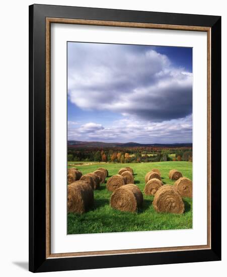 Farm Hay Bales in Field, Westmore, Vermont, USA-Adam Jones-Framed Photographic Print