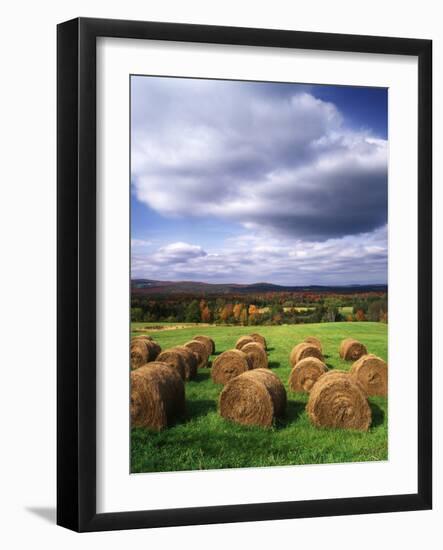 Farm Hay Bales in Field, Westmore, Vermont, USA-Adam Jones-Framed Photographic Print