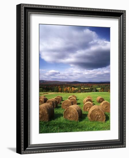 Farm Hay Bales in Field, Westmore, Vermont, USA-Adam Jones-Framed Photographic Print