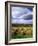 Farm Hay Bales in Field, Westmore, Vermont, USA-Adam Jones-Framed Photographic Print