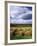 Farm Hay Bales in Field, Westmore, Vermont, USA-Adam Jones-Framed Photographic Print