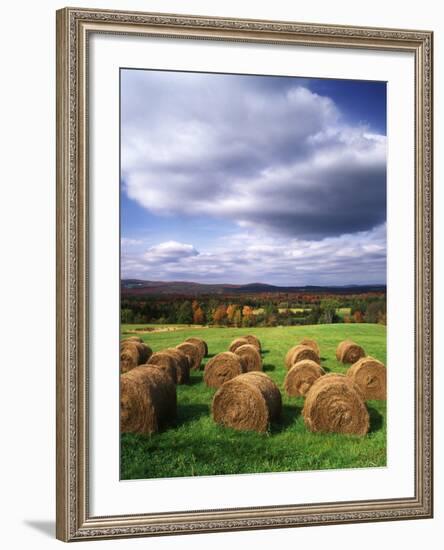 Farm Hay Bales in Field, Westmore, Vermont, USA-Adam Jones-Framed Photographic Print