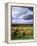 Farm Hay Bales in Field, Westmore, Vermont, USA-Adam Jones-Framed Premier Image Canvas