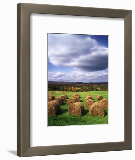 Farm Hay Bales in Field, Westmore, Vermont, USA-Adam Jones-Framed Photographic Print