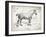 Farm Horse I-Gwendolyn Babbitt-Framed Art Print