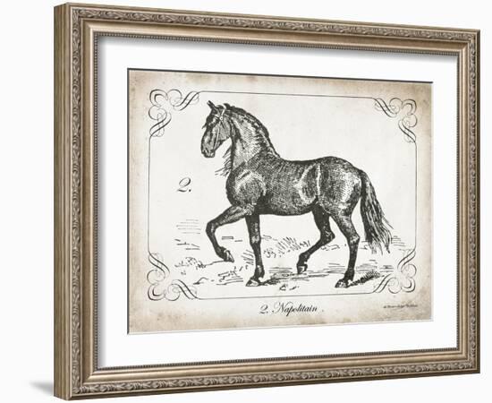 Farm Horse II-Gwendolyn Babbitt-Framed Art Print