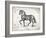 Farm Horse II-Gwendolyn Babbitt-Framed Art Print