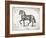 Farm Horse II-Gwendolyn Babbitt-Framed Art Print