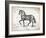 Farm Horse II-Gwendolyn Babbitt-Framed Art Print