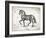 Farm Horse II-Gwendolyn Babbitt-Framed Art Print