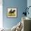 Farm Horses-David Nockels-Framed Giclee Print displayed on a wall