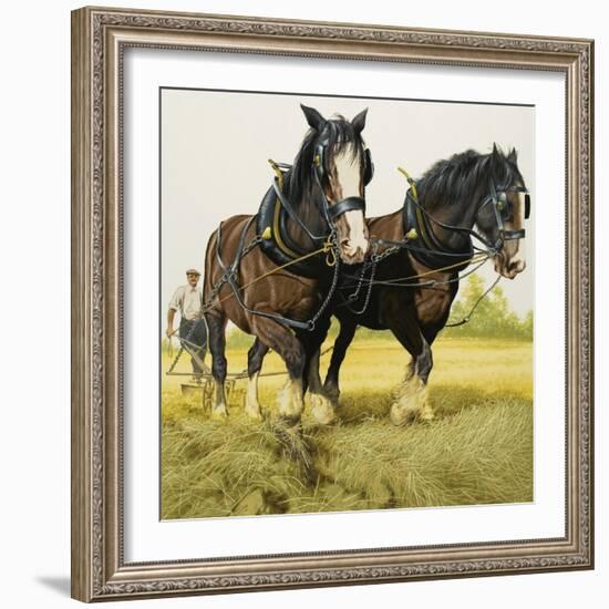 Farm Horses-David Nockels-Framed Giclee Print